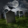 Cemetery Signs and Grave Sites with Jimmy Morris