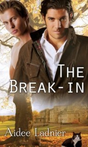 The Break-in