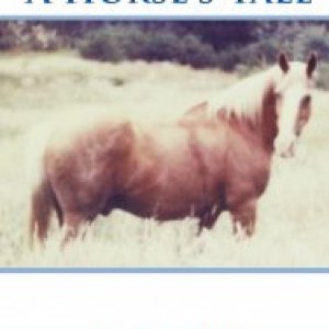 Winston_-_A_Horse's__Cover.jpg