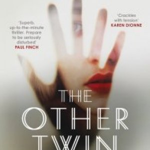 The Other Twin by LV Hay