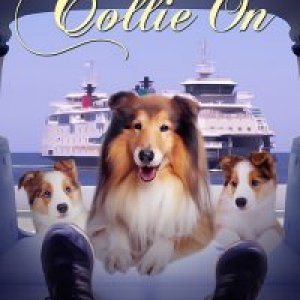 STAY CALM-AND-COLLIE-ON-mockup4.jpg