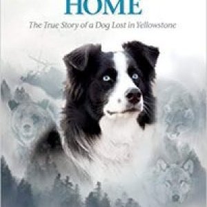 Bring Jade Home: The True Story of a Dog Lost in Yellowstone