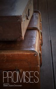 Promises_8 cover.jpeg