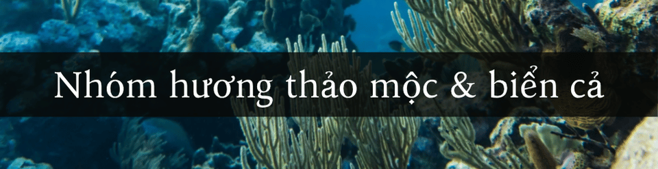 nhom-huong-thao-moc-va-bien-ca.png