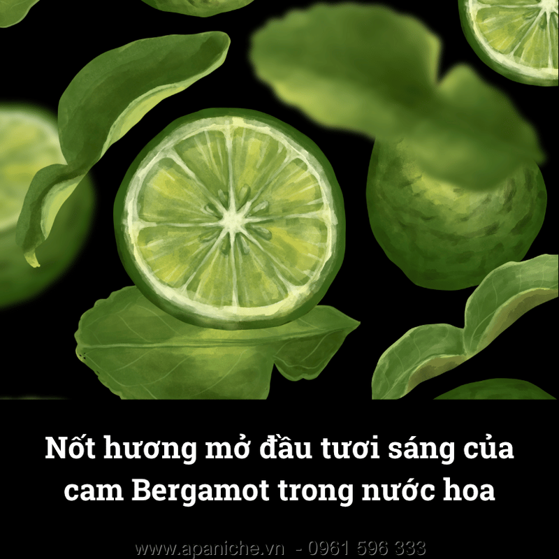 nuoc-hoa-huong-cam-Bergamot.png